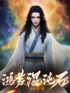 鸿蒙混沌石 鸿蒙混沌石