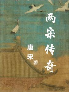 两宋传奇 两宋传奇